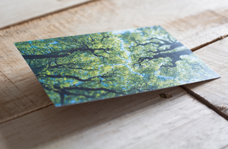 igh quality Postcard printing service for artists